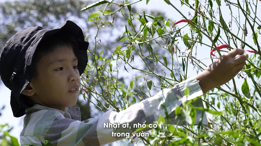Minh Huy: Con ước thành đầu bếp nấu, nấu bữa ngon cho bà cố- Ảnh 4.