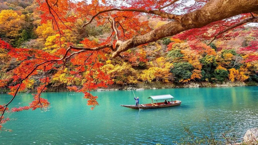 Điểm đến ở Việt Nam vào top ngắm lá mùa thu đẹp nhất châu Á- Ảnh 6.