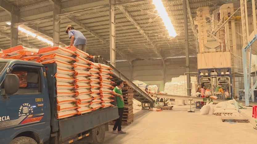 Ngành gạo Việt Nam ứng phó trước biến động nhập khẩu từ Philippines và Indonesia - Ảnh 1.