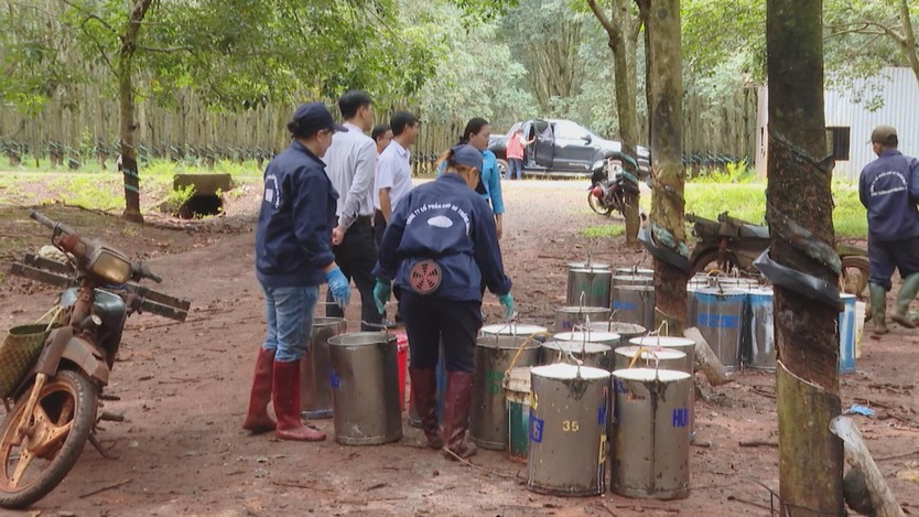 Thi đua lan tỏa trong công nhân lao động TP.HCM, tạo động lực phát triển bền vững - Ảnh 1.