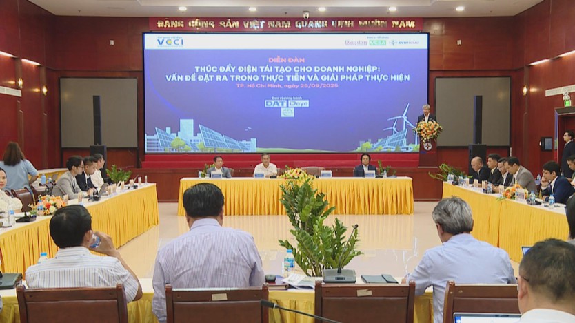 Năng lượng tái tạo: Mở ra cơ hội lớn cho doanh nghiệp Việt Nam - Ảnh 1.