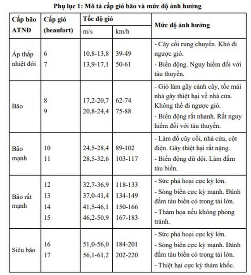 Công điện số 173/CĐ-TTg: Thủ tướng chỉ đạo ứng phó Bão số 10 (Bão Bualoi) với tinh thần quyết liệt nhất- Ảnh 1.