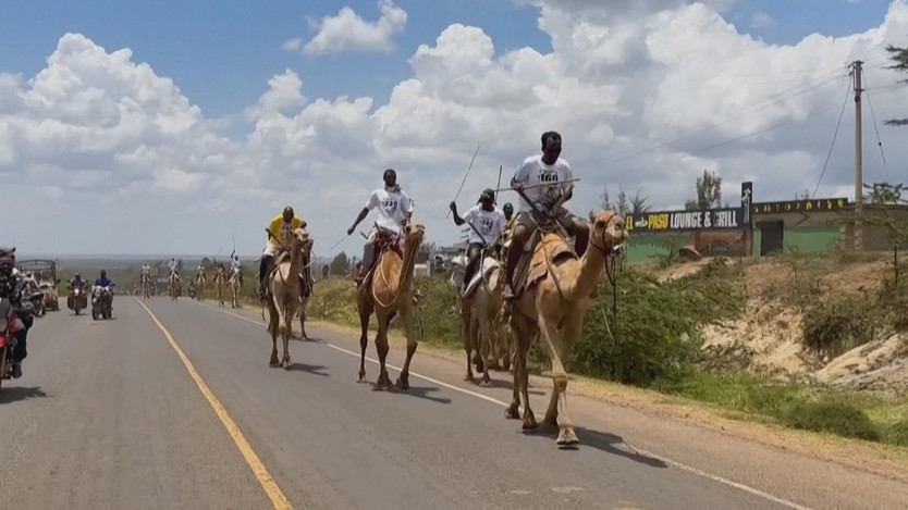 Cuộc đua lạc đà quốc tế Maralal tại Kenya - Ảnh 2.