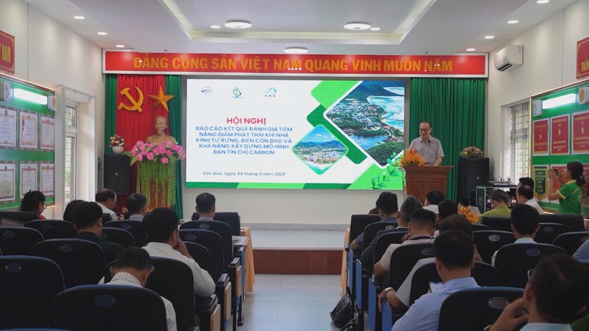 Côn Đảo: Xây dựng mô hình kinh tế xanh từ rừng và biển- Ảnh 1.