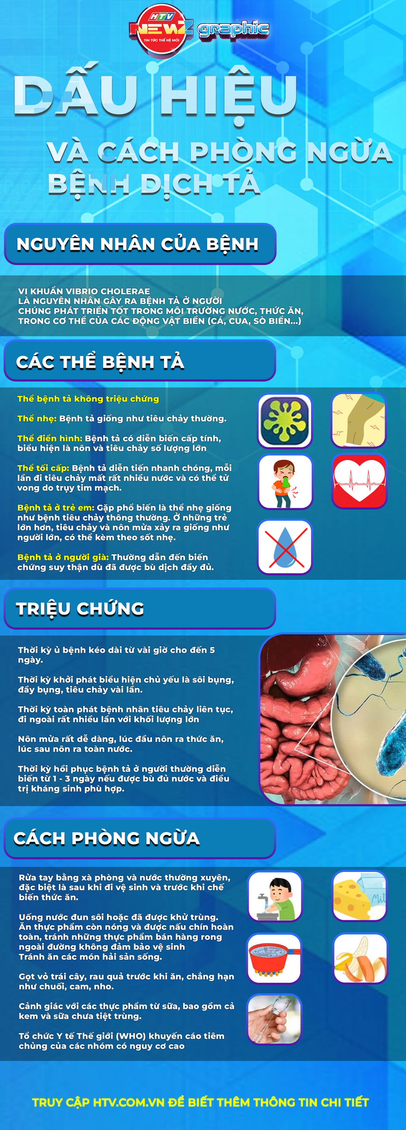 NewZgraphic: Dấu hiệu và cách phòng ngừa bệnh dịch tả - Ảnh 1.