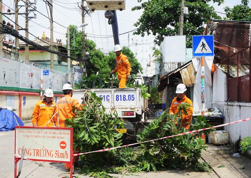 TP. Hồ Chí Minh tăng cường tuyên truyền, ngăn ngừa vi phạm hành lang an toàn lưới điện - Ảnh 2.