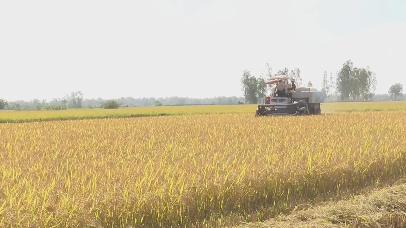 60 Giây ngày 13/1/2026 | Linh vật ngựa “vui vẻ” cao 4m, nặng 6 tấn vừa hoàn thành ở Bắc Ninh - Ảnh 3.