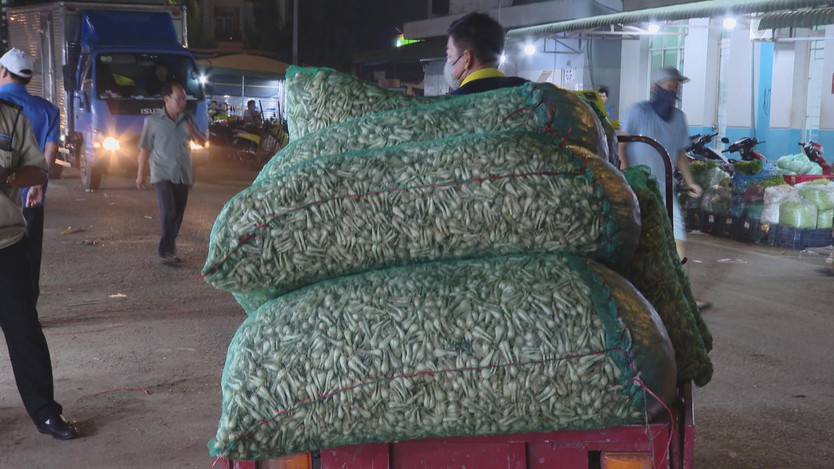 Khu bán kiệu lớn nhất tại TP. Hồ Chí Minh vào mùa Tết: Đa dạng nguồn cung, ổn định giá cả - Ảnh 4.