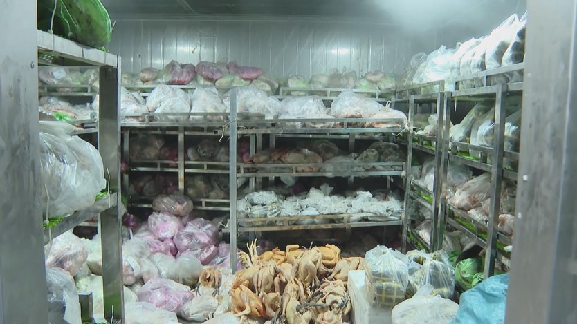 Tàu Tiên Nữ khởi hành tiếp tế Trường Sa, mang Tết ra đảo xa - Ảnh 2.