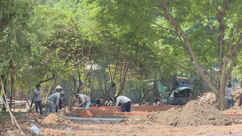 Bí thư Thành ủy TP. Hồ Chí Minh khảo sát các khu đất trống, ưu tiên không gian vui chơi dịp Tết - Ảnh 3.