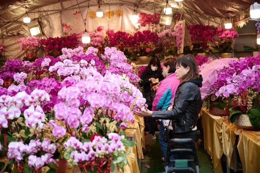 Hồng Kông rộn ràng đón Tết Bính Ngọ với chuỗi lễ hội sôi động khắp thành phố - Ảnh 7.