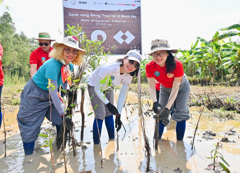 Gaia mở rộng trồng rừng tại U Minh Hạ - Ảnh 2.