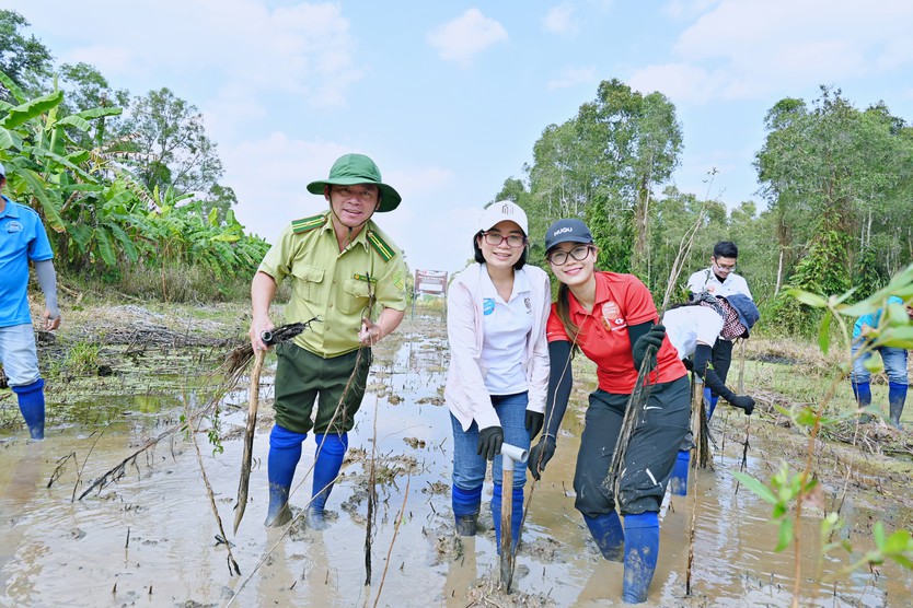 Gaia mở rộng trồng rừng tại U Minh Hạ - Ảnh 1.