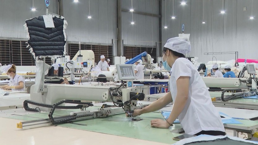 Nhân dân TP. Hồ Chí Minh tin tưởng vào sự thành công của Đại hội Đảng - Ảnh 5.