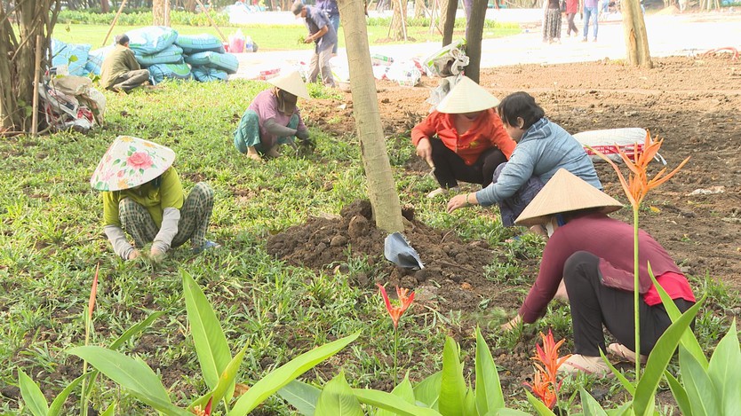 Xuân về trên Thành phố mang tên Bác: "Hồi sinh" các khu đất vàng thành công viên để đón Tết - Ảnh 1.