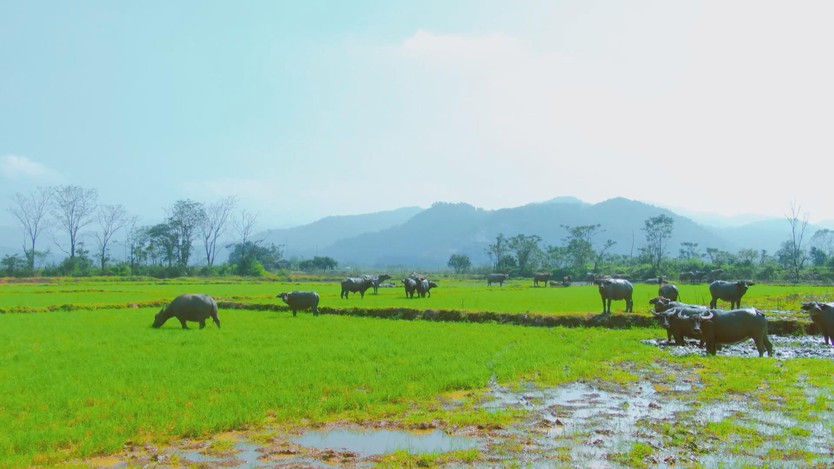 Ra mắt MV “Đất nước hôm nay”: Bản hùng ca tự hào về một Việt Nam vươn mình - Ảnh 5.