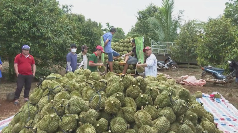 Bộ Nông nghiệp và Môi trường tổng kết ngành năm 2025 và định hướng năm 2026 - Ảnh 2.