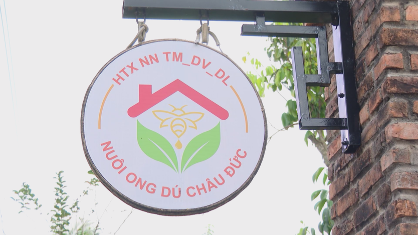 Du lịch canh nông tạo làn gió mới cho du lịch TP. Hồ Chí Minh- Ảnh 5.