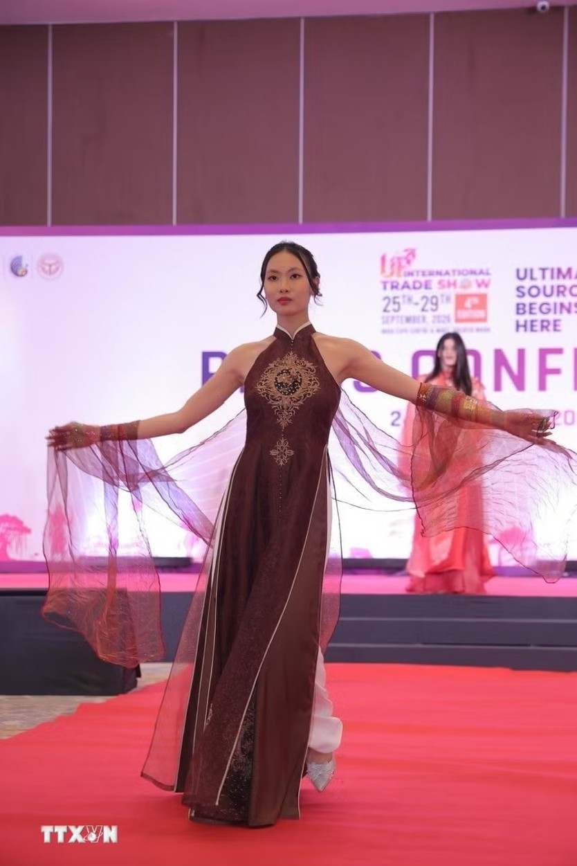 Áo dài Việt tỏa sáng tại Ấn Độ, đưa sắc Việt đến gần bạn bè quốc tế - Ảnh 2.