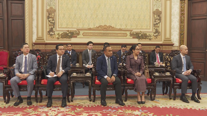 TP. Hồ Chí Minh tăng cường hợp tác với Bộ Thanh tra Campuchia - Ảnh 1.
