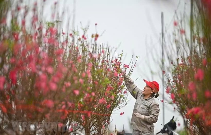 Bộ Nội vụ hướng dẫn doanh nghiệp 3 phương án nghỉ Tết Âm lịch năm 2027 - Ảnh 1.