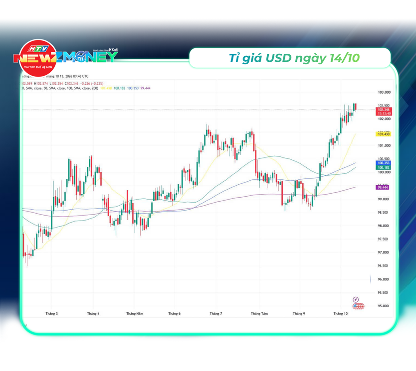 Bắt sóng thị trường 14/10: VN-Index giảm phiên thứ năm liên tiếp, Dầu Brent vọt lên trên 106 USD | NewZMoney - Ảnh 3.