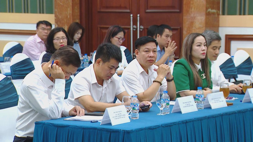 Hoàn thiện hành lang pháp lý, nâng cao hiệu quả bảo vệ bản quyền tác giả - Ảnh 3.