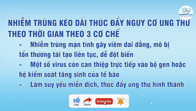 11 tác nhân gia tăng nguy cơ ung thư | HTV Chiến thắng ung thư- Ảnh 5.