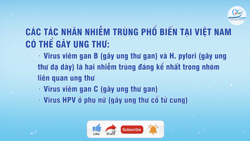 11 tác nhân gia tăng nguy cơ ung thư | HTV Chiến thắng ung thư- Ảnh 3.