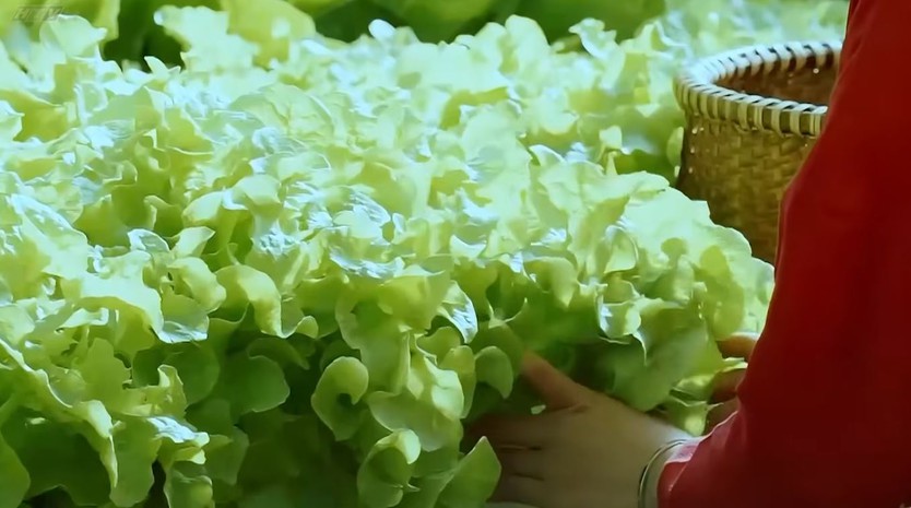 Giải độc công nghệ - Tìm lại cân bằng giữa nhịp sống số | Vườn sao mai - Ảnh 6.