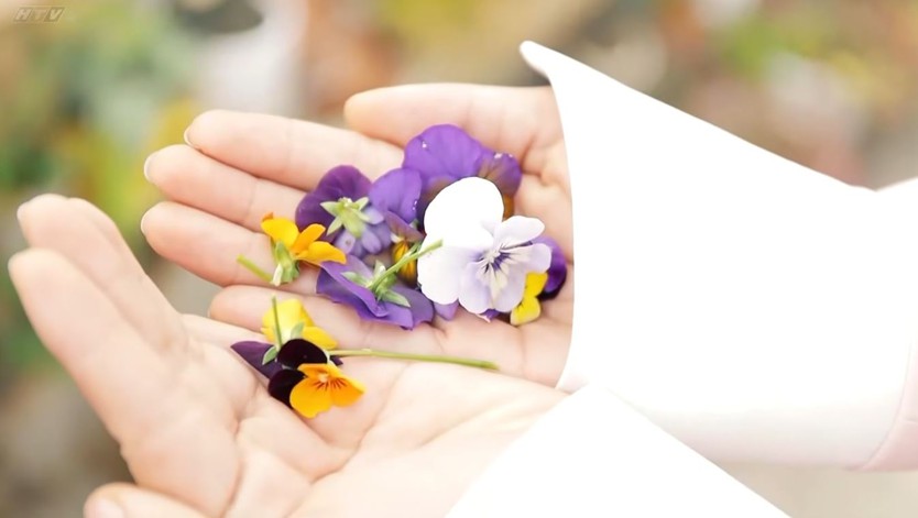 Giải độc công nghệ - Tìm lại cân bằng giữa nhịp sống số | Vườn sao mai - Ảnh 12.