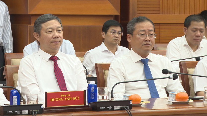 TP. Hồ Chí Minh thành lập Đảng bộ các cơ sở y tế và Đảng bộ các trường đại học, cao đẳng - Ảnh 2.