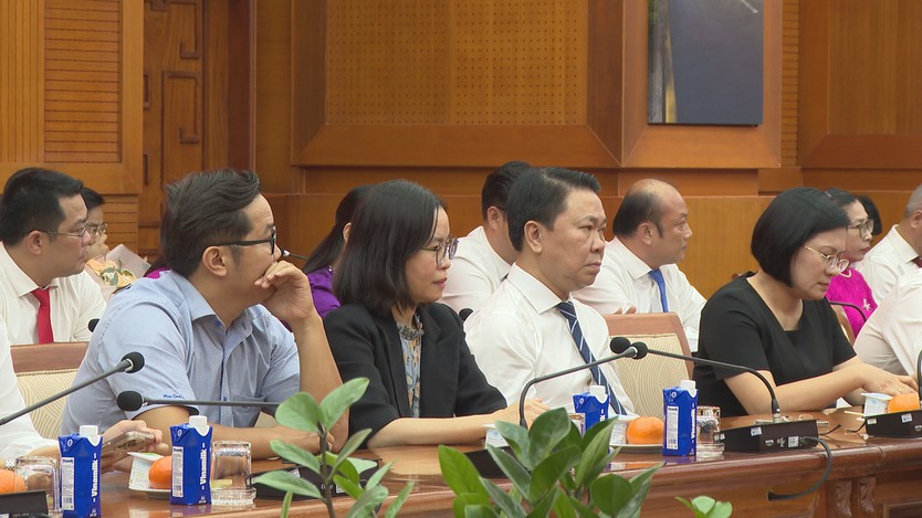 TP. Hồ Chí Minh thành lập Đảng bộ các cơ sở y tế và Đảng bộ các trường đại học, cao đẳng - Ảnh 3.