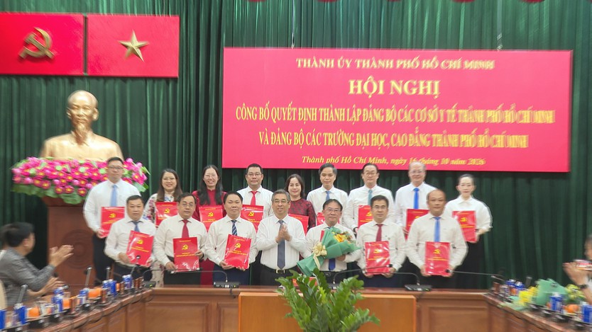 TP. Hồ Chí Minh thành lập Đảng bộ các cơ sở y tế và Đảng bộ các trường đại học, cao đẳng - Ảnh 6.