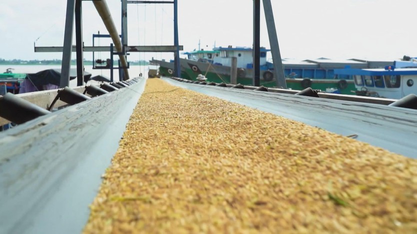 Giảm phát thải, tăng giá trị hạt gạo Việt- Ảnh 3.