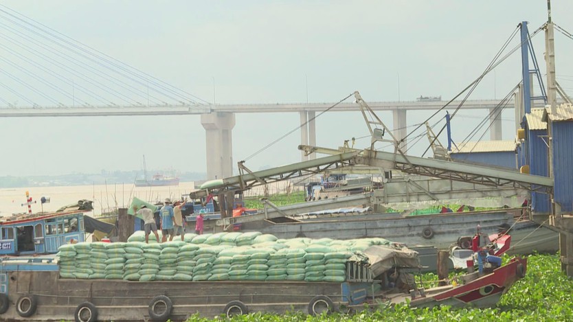 Giảm phát thải, tăng giá trị hạt gạo Việt- Ảnh 4.
