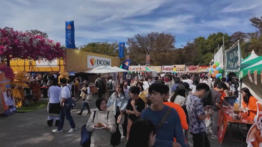 Nhật Bản tôn vinh văn hóa Indonesia - Ảnh 7.