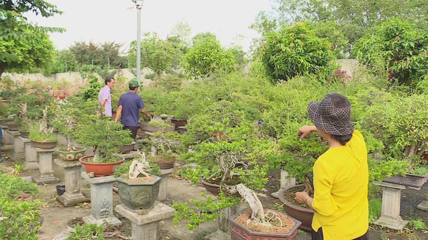 Sản xuất hoa, cây kiểng hướng tới 14.000 tỷ đồng năm 2030 - Ảnh 8.