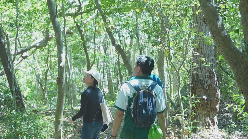 Du lịch Côn Đảo bứt phá nhờ hệ sinh thái rừng - biển và di tích lịch sử - Ảnh 2.