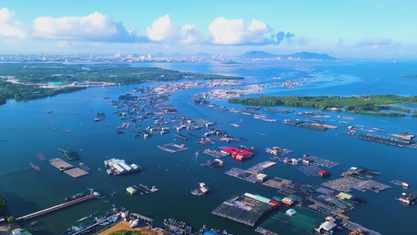 TP. Hồ Chí Minh đón mùa du lịch cuối năm với nhiều trải nghiệm hấp dẫn - Ảnh 1.