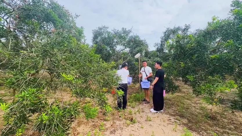 Luật Phát triển đô thị: Giải bài toán sản phẩm du lịch manh mún - Ảnh 6.