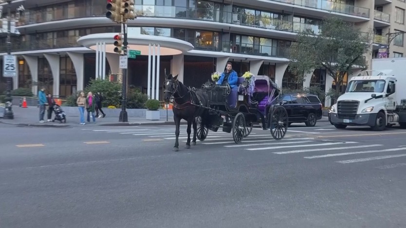 Mỹ: Thành phố New York cấm vĩnh viễn xe ngựa kéo du lịch - Ảnh 2.