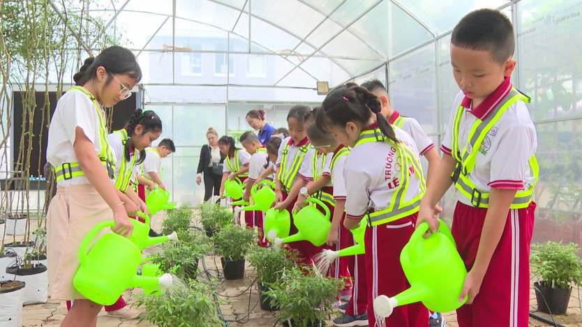 Tân Mỹ Xanh: Để học sinh học cách sống xanh từ thực tiễn - Ảnh 2.