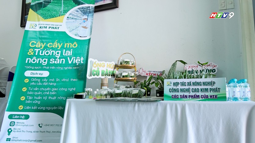 Kết nối chuỗi giá trị dứa MD2, mở hướng nâng tầm trái cây Việt- Ảnh 2.