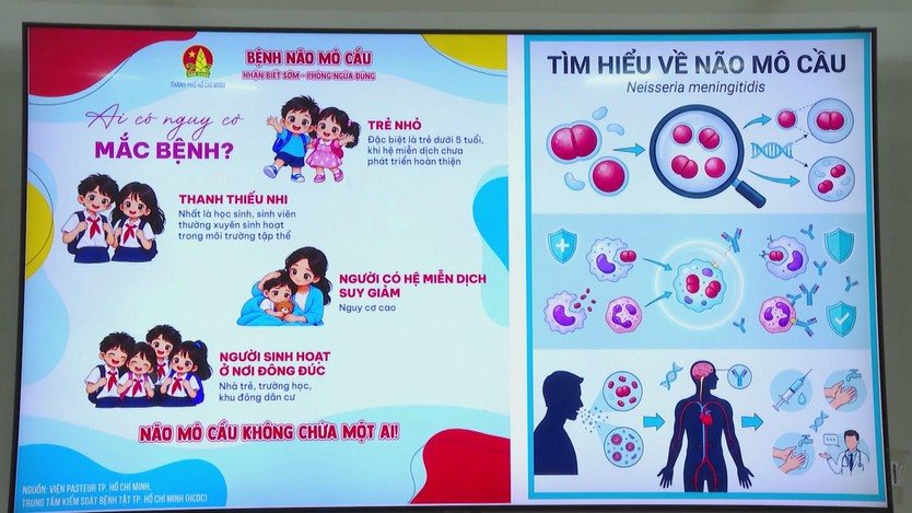Côn Đảo chủ động phòng bệnh não mô cầu trong trường học - Ảnh 2.