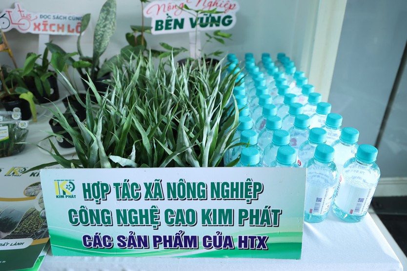 Kết nối chuỗi giá trị dứa MD2, mở hướng nâng tầm trái cây Việt- Ảnh 5.