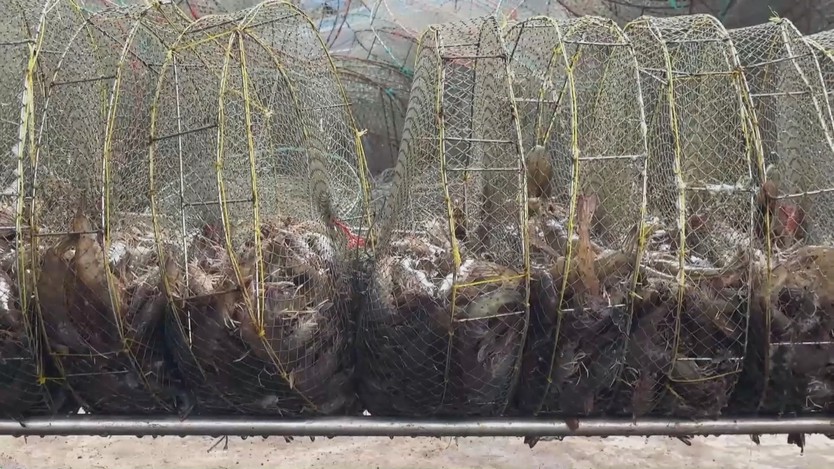 Việt Nam - Ấn Độ mở rộng hợp tác đào tạo nhân lực và công nghệ - Ảnh 4.