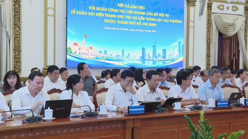 TP. Hồ Chí Minh rà soát đề án thành lập 29 phường - Ảnh 2.