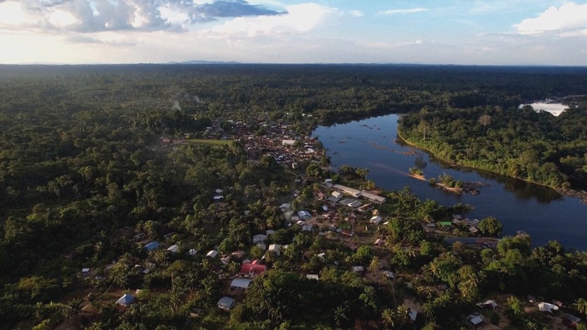Suriname: Ứng dụng công nghệ để bảo vệ rừng - Ảnh 1.