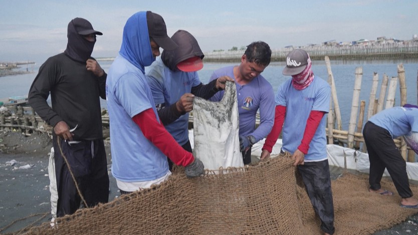 Philippines thử nghiệm mô hình chắn sóng bằng tre và vỏ hàu - Ảnh 2.